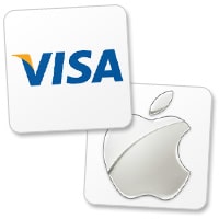 Image result for Apple Visa
